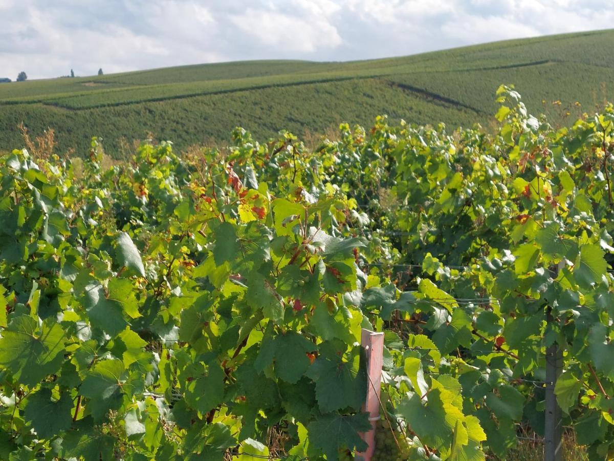 Appartamento Epernay Capital De Champagne Esterno foto