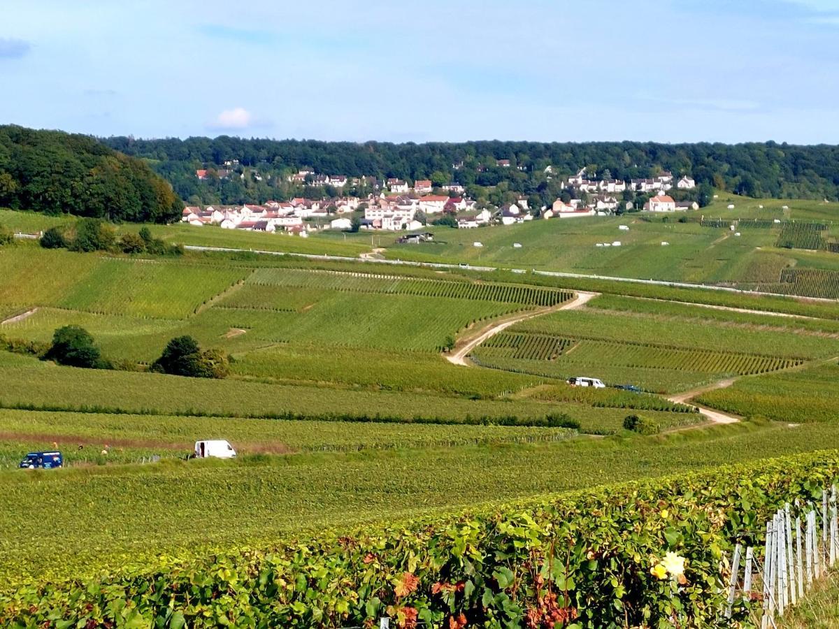 Appartamento Epernay Capital De Champagne Esterno foto