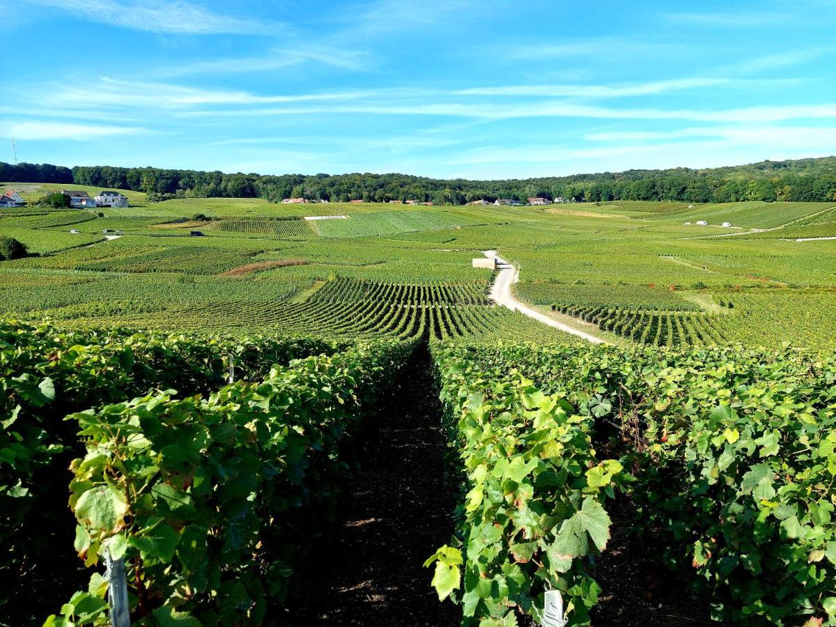 Appartamento Epernay Capital De Champagne Esterno foto