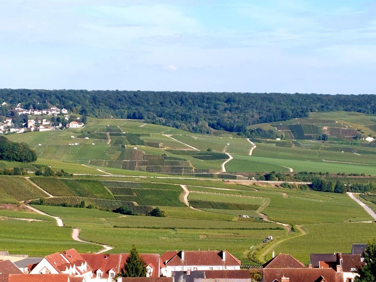 Appartamento Epernay Capital De Champagne Esterno foto