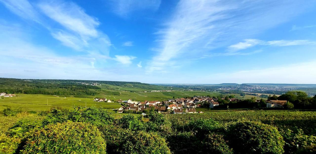 Appartamento Epernay Capital De Champagne Esterno foto
